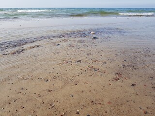 Sandy coast of the blue sea