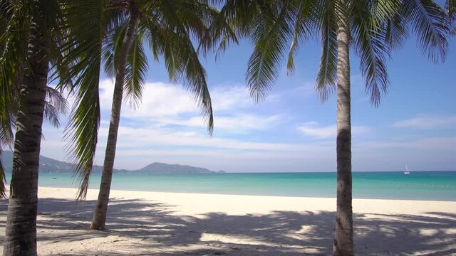 Phuket, Thailand. On 8 Jan 2021. And After chock corona virus 2019. Palm tree and beach, Landscape view of beach. sea in summer day. At Patong beach, Phuket, Thailand. Nature and travel concept.
