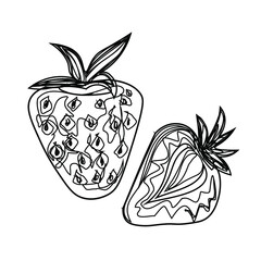 Fruits, exotic fruits, vegetarian - minimal thin line web icon set. Included the simple vector icons as mango, durian, rambutan, guava, tamarind, jackfruit. Outline icons collection.