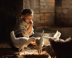 Little pretty girl feeding white chicken in henhouse on sunny day © Galina