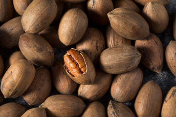 Raw Organic Whole Pecan Nuts