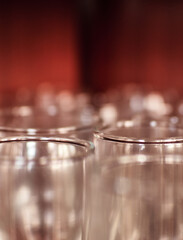 glass of wine