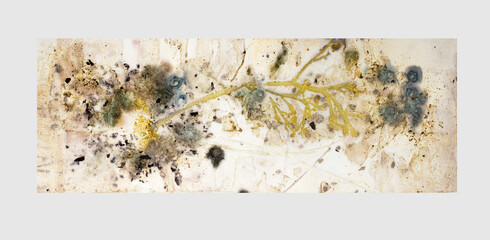 Leaves patterns on paper and fabric with eco-friendly printing process. Tannin and vinegar water on...