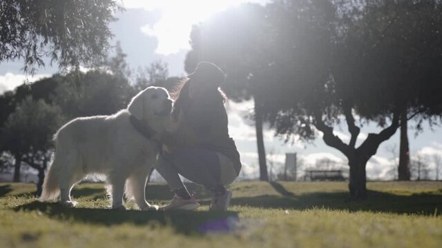 Mixed race woman enjoying with Golden retriever, sun flare background