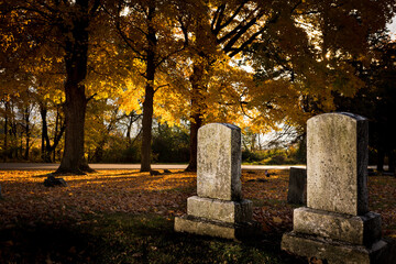 cemetery in autumn with sun backlit golden leaves