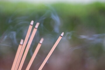 select focus burning incense sticks with smoke