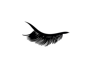 Eyelash extension. Beautiful black long eyelashes. Closed eye . False beauty cilia. Mascara natural effect. Professional glamor makeup.