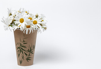 Fresh daisy flowers on colorful backgrounds