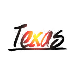 Colorful texas graffiti text vector