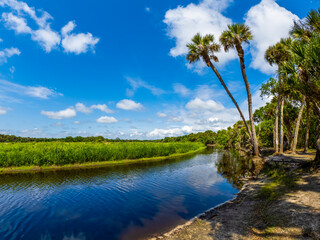 Myakka River at Fishermans Loop in Myakka River State Park in Sarasota Florida USA