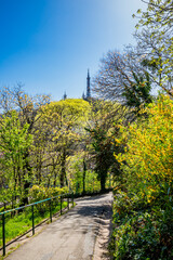 Le Jardin des Chartreux à Lyon