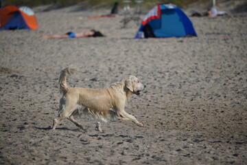 An der Ostsee: Kühlungsborn