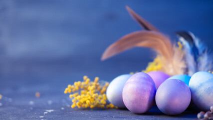 Beautiful pastel colored Easter eggs, bird feathers, festive banner with copyspace
