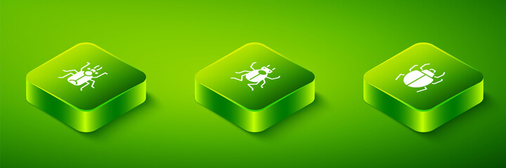 Set Isometric Beetle bug, Mite and icon. Vector