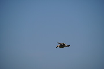 An der Ostsee: Kühlungsborn