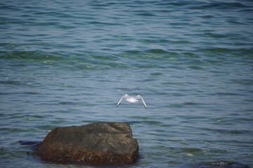 Fototapeta premium An der Ostsee: Kühlungsborn