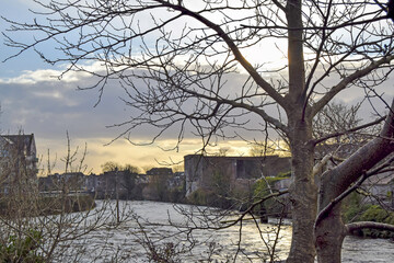 Corrid river in Galway see through a tree without leaves, Galway, Ireland