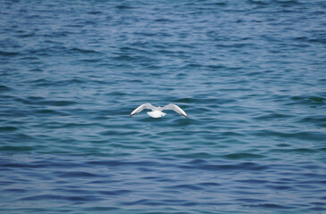 Fototapeta premium An der Ostsee: Kühlungsborn