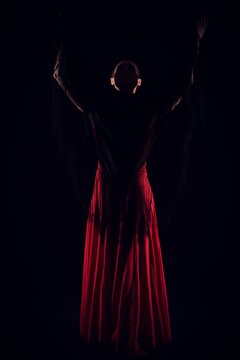 Flamenco Woman In Red Skirt And Back