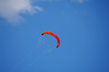 Kite sky fly