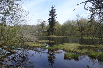 The beautiful scenery of the Billy Frank Jr. Nisqually National Wildlife Refuge, located in the Pacific Northwest, Washington State.