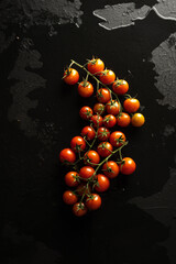 Pachino tomatoes in bunches, typical of the Sicily region, Italy. On wet black background