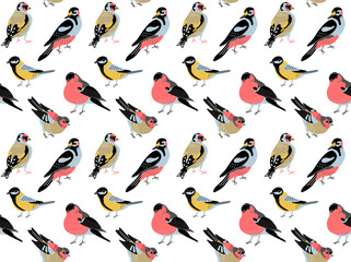 seamless pattern with birds