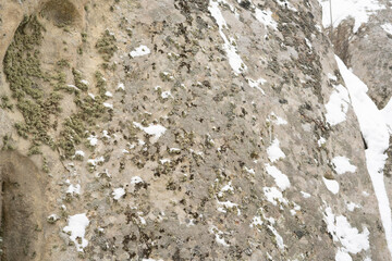 Aged background of natural stone covered with moss and snow. Remains of the Tustan fortress. Carpathians. Ukraine.