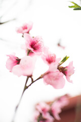 ph.agustin.aranega(ig)