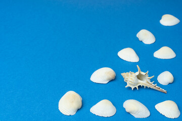 Seashells on blue background with copy space. Souvenirs from the seaside.