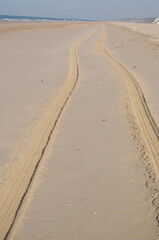 Tracks On Sand
