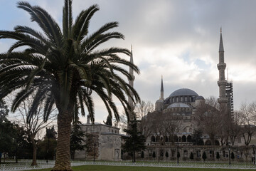 Naklejka premium The Blue Mosque in Istanbul is located on Sultanahmet Square. It is made of gray stone, has high minarets. The photo was taken against the background of a green palm tree on a cloudy evening at dusk.