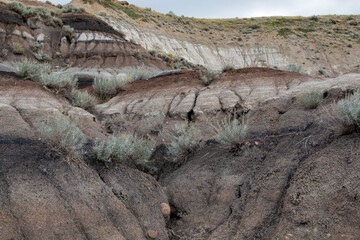 Drumheller is a town northeast of Calgary, in Alberta, Canada. On the edge of town, in Midland...