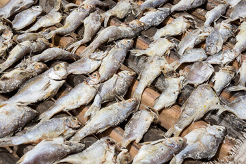Peces en un secadero de pescado en la playa de Sanyang en la costa de Gambia