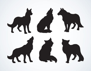 Wolf. Vector drawing