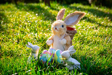 Colorful Easter eggs and a bunny in the grass of the garden