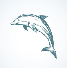 Dolphin. Vector drawing