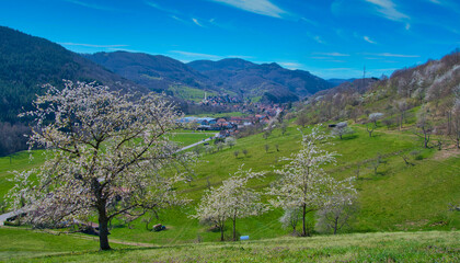 Val de Villé im Elsass im Frühling