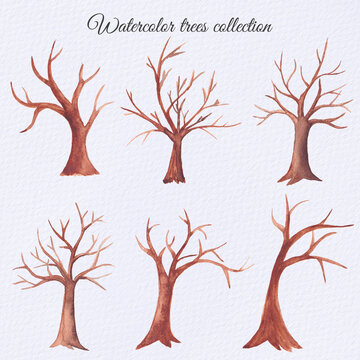 Watercolor trees with no leaves, dry, bare tree
