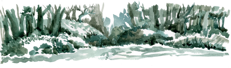 Forest landscape, glade view, graphic illustration. © ozrolf