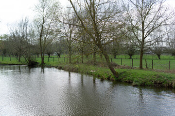 landscape with a river