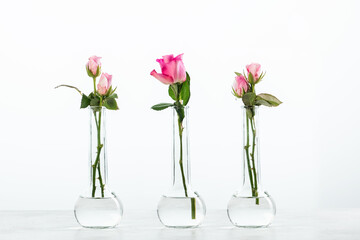 Bottle of essential oil with herbs on white background