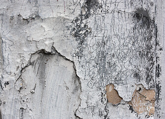 old wall texture