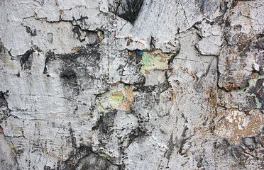 wall underground texture