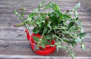 Bouquet of Selfheal or Prunella vulgaris wildflowers in red tea kettle used as vase.