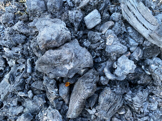 Burnt charcoal after barbeque grilling - Careless people cause environmental pollution