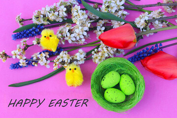 easter eggs and flowers Spring flowers lie on a bright pink background, yellow comic chickens and green Easter eggs in the nest
