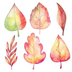 Watercolor autumn leaves set