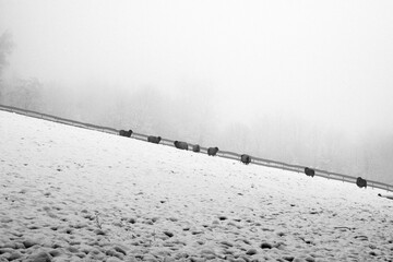 Winter Schnee Nebel