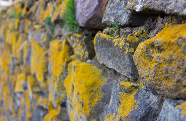 Old stone wall with moss